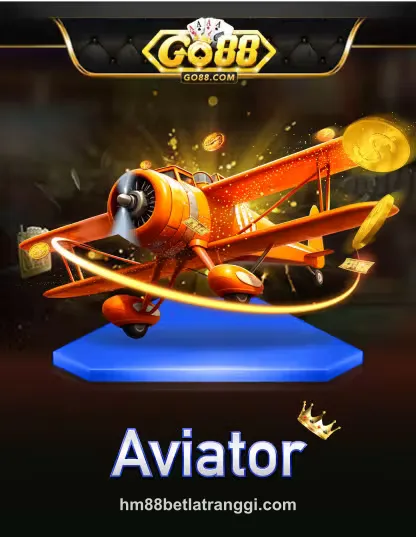 hm88 Go Aviator Portrait